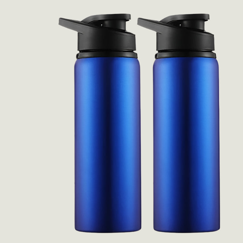 The Stainless Steel Water Bottle